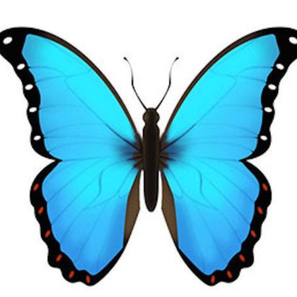 Meet your Posher, Vanni